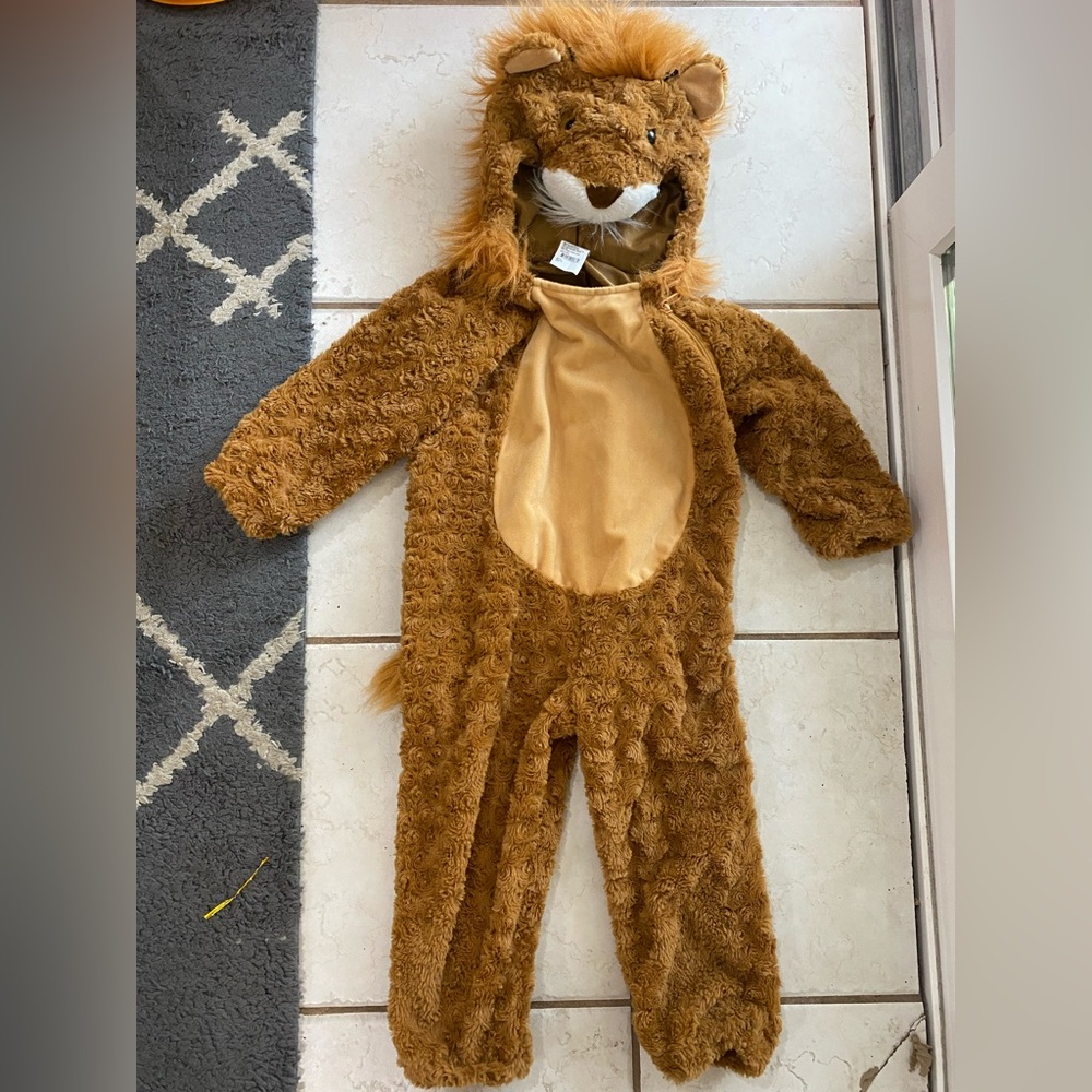 Adorable Lion Costume for Kids - size 2T/3T